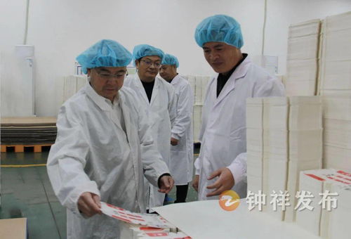 楊孟富深入調研重點企業 助推食品生產經營高質量發展