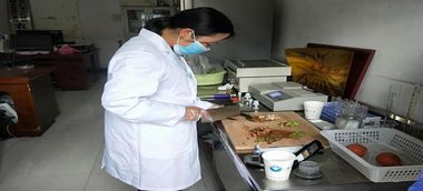 城北街道筑牢農(nóng)產(chǎn)品質(zhì)量安全防線 檢驗檢測服務(wù)提質(zhì)增效